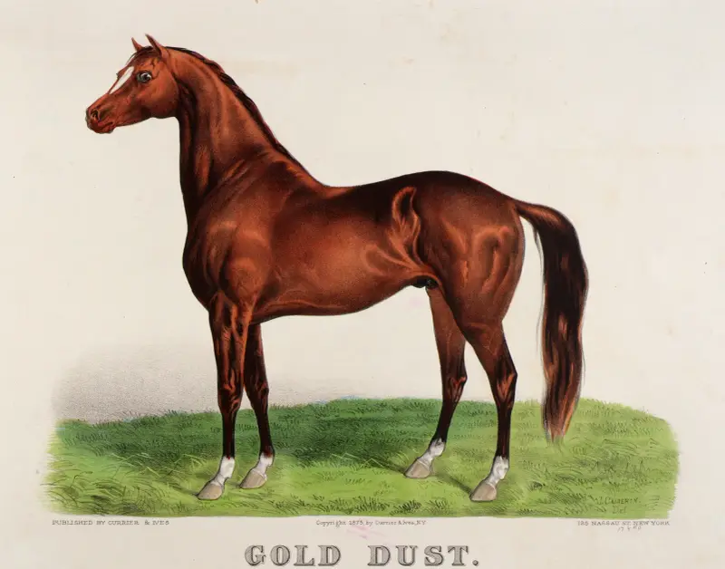 Gold Dust av John Cameron