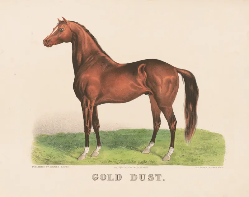 Gold dust av John Cameron