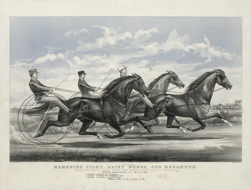 Mambrino Pilot, Daisy Burns, and Rosamond; trotting for a purse, $100 mile heats, best 3 in 5 in harness av John Cameron