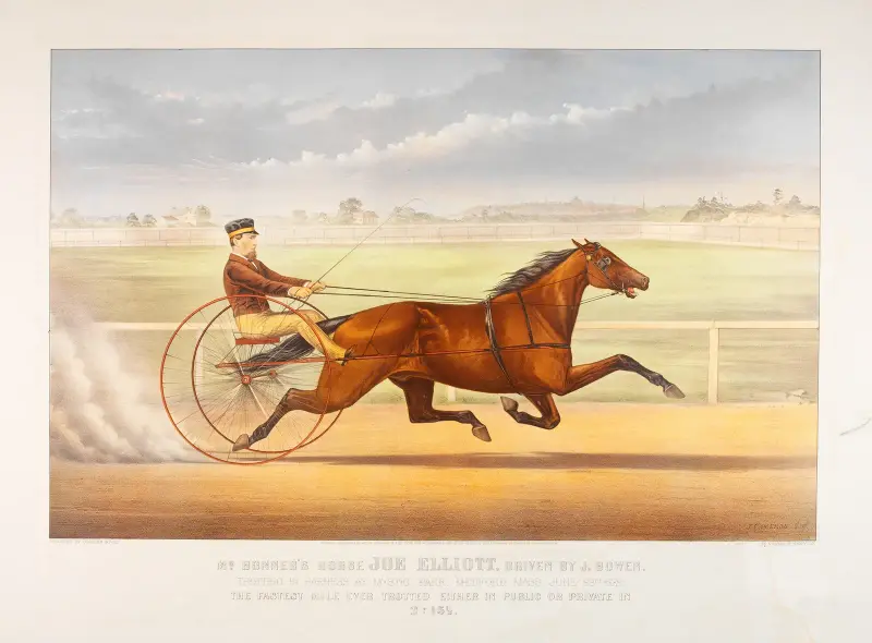 Mr. Bonner’s Horse Joe Elliott av John Cameron