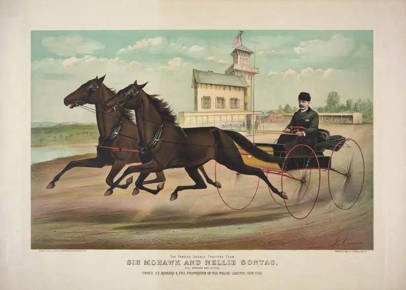 The famous double trotting team, Sir Mohawk and Nellie Sontag; full brother and sister av John Cameron