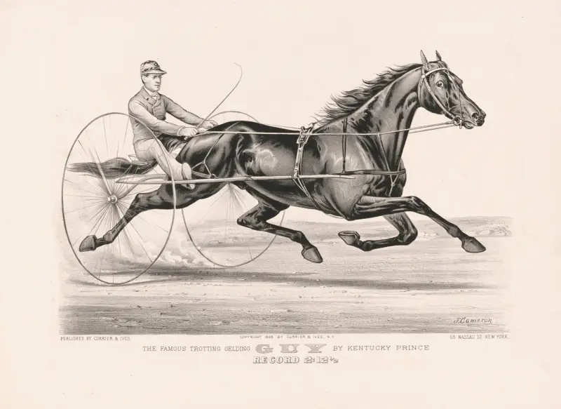 The famous trotting Gelding Guy by Kentucky Prince av John Cameron