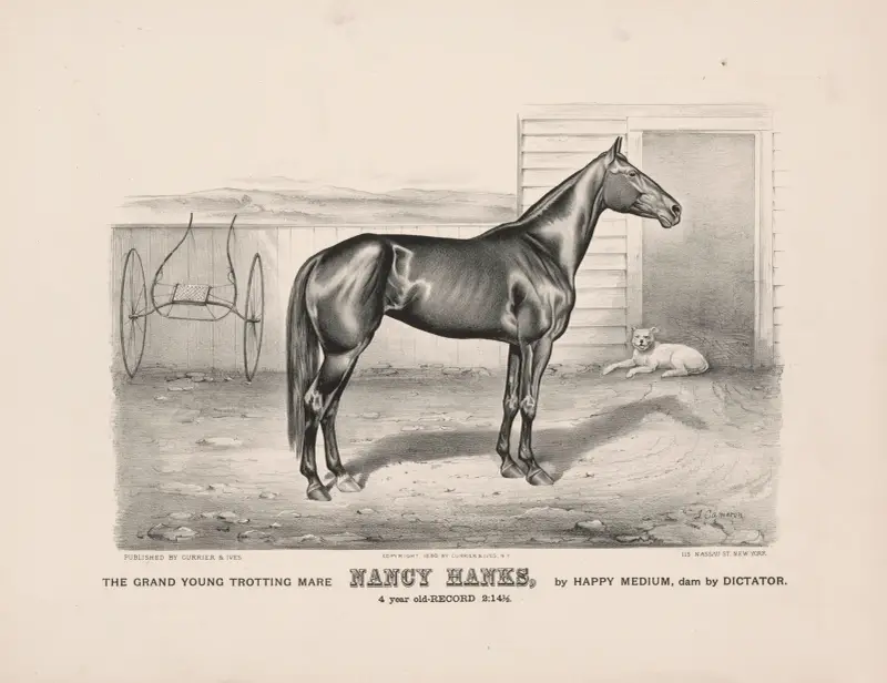 The grand young trotting mare Nancy Hanks, by Happy Medium, dam by Dictator av John Cameron