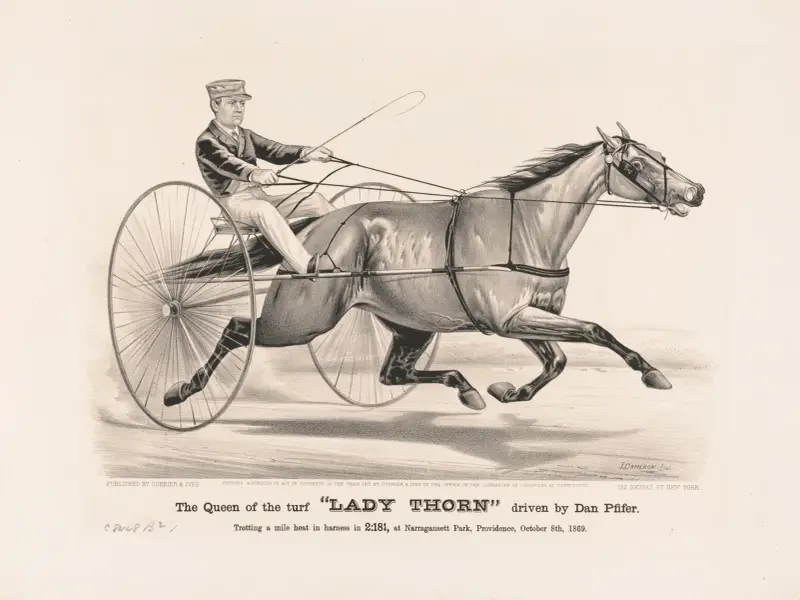 The queen of the turf ‘Lady Thorn’ driven by Dan Pfifer av John Cameron