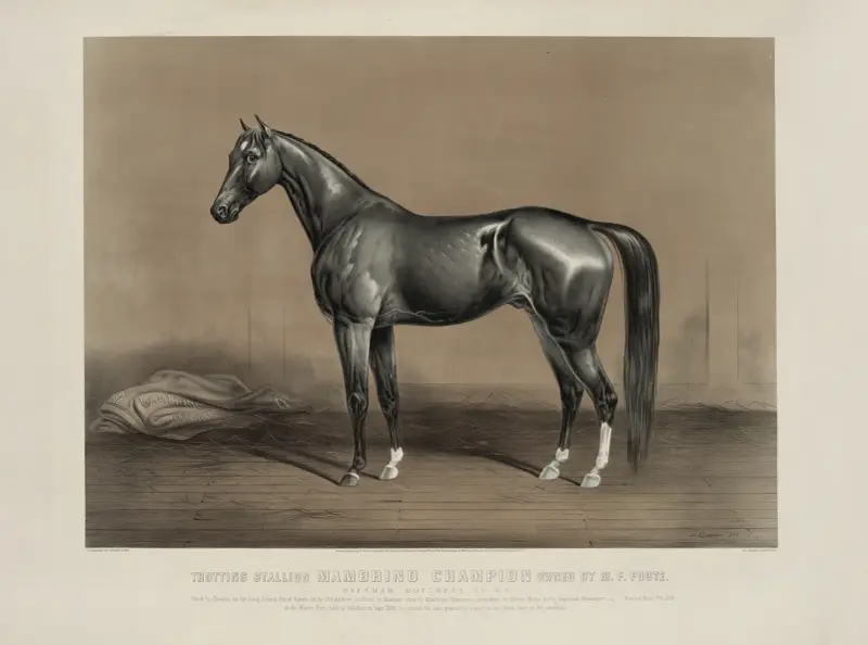 Trotting stallion Mambrino Champion owned by M.F. Foote av John Cameron