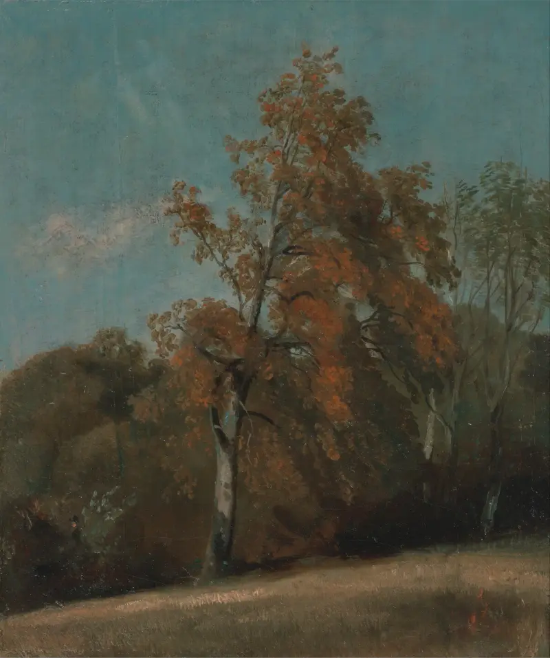 Studie jasanu, John Constable