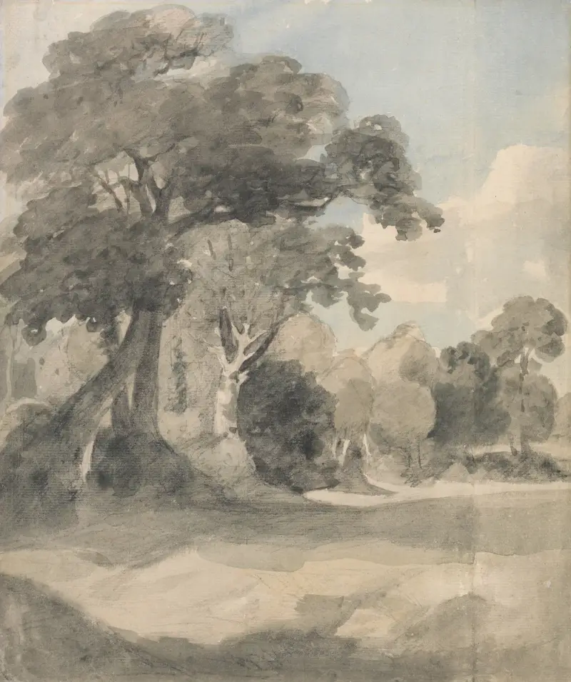Stromy na louce, John Constable