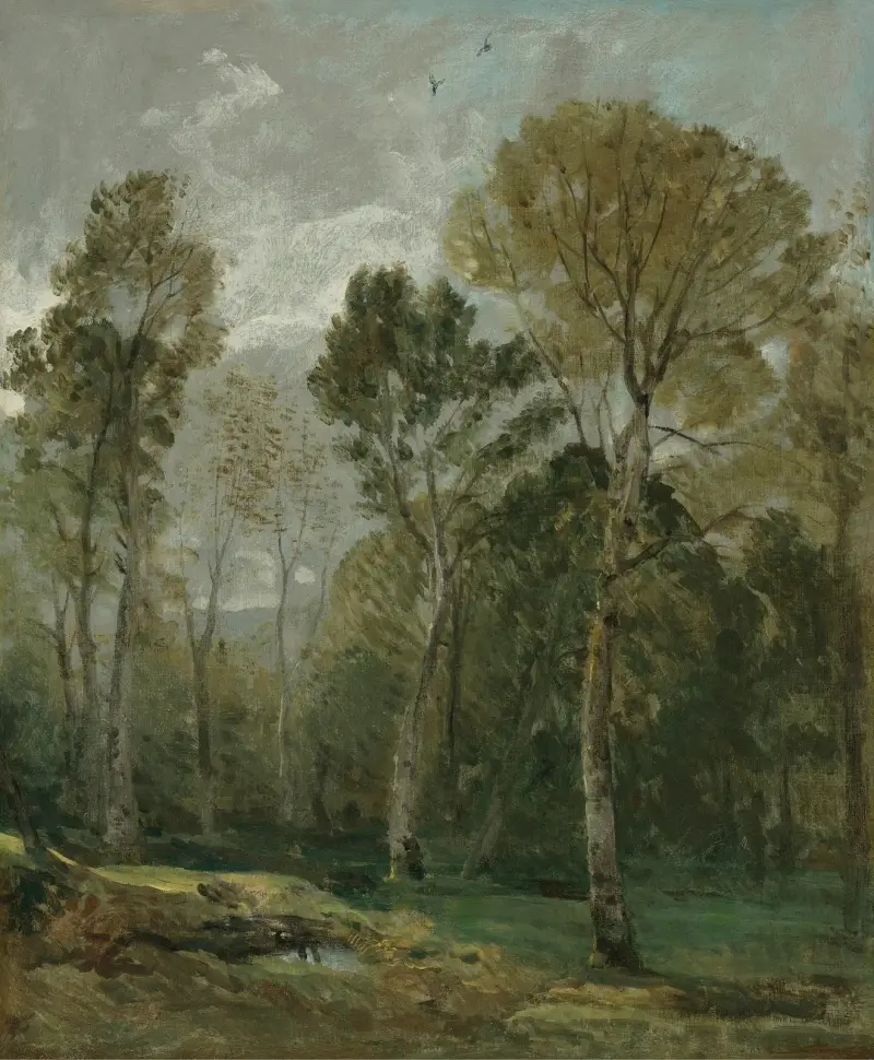 Pohled na hájek, John Constable