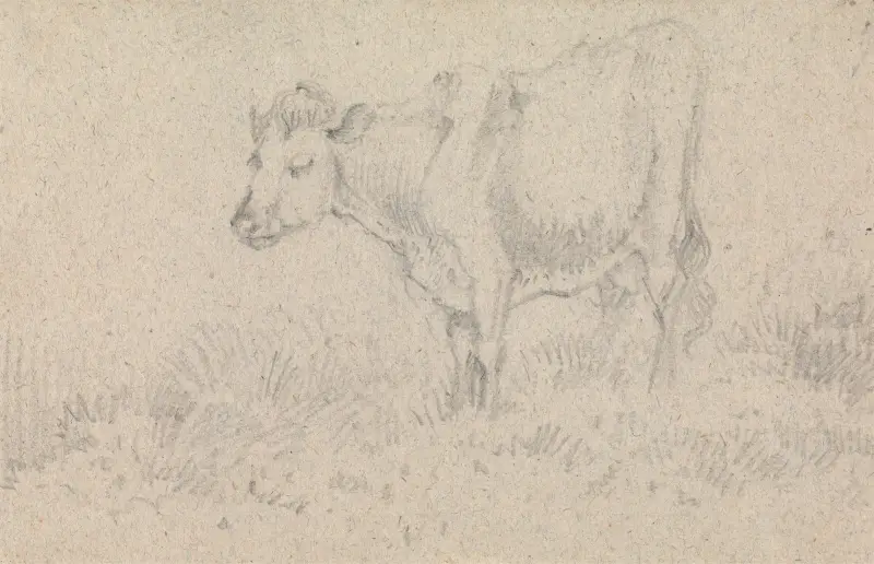 Kráva, John Crome