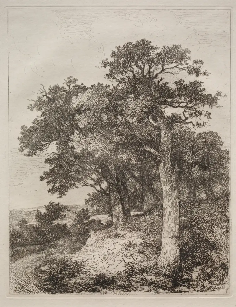 V Colney, John Crome