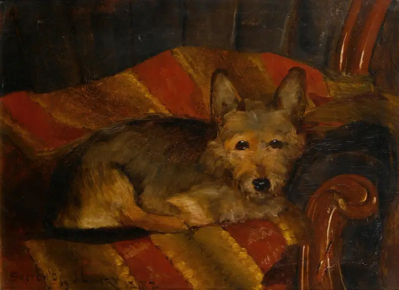 Dog on a chair av Sir John Lavery