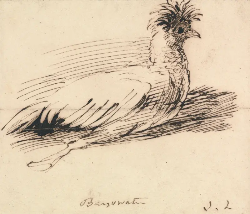 Slepice, John Linnell