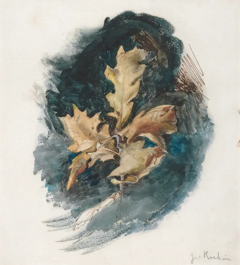Studium liścia dębu, John Ruskin