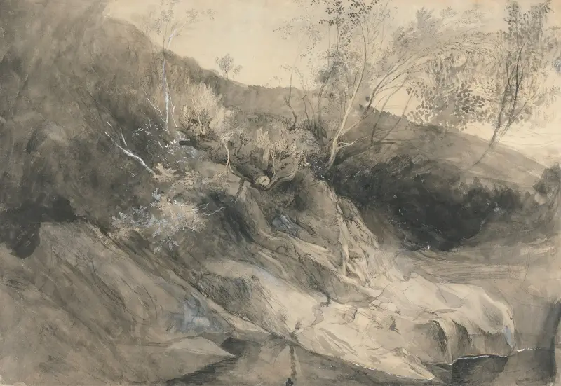 The Rocky Bank of a River av John Ruskin