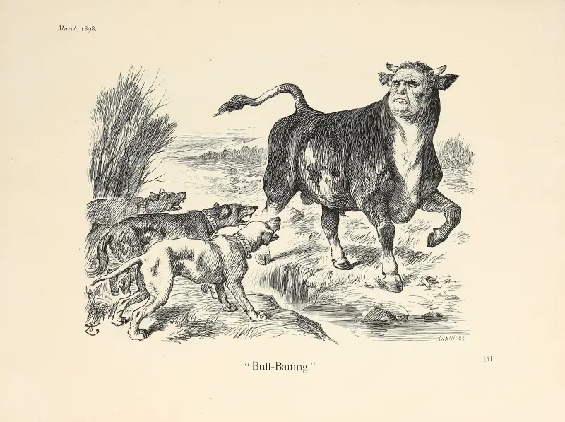 Bull-Baiting av Sir John Tenniel