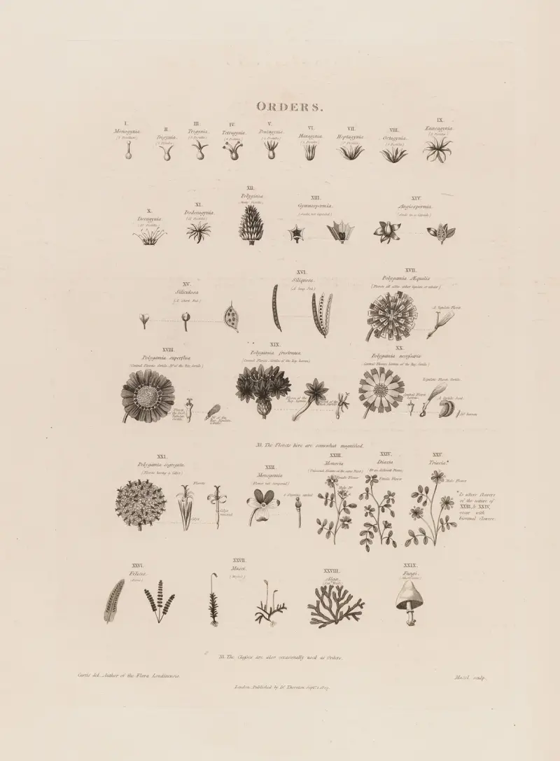 Orders von Robert John Thornton