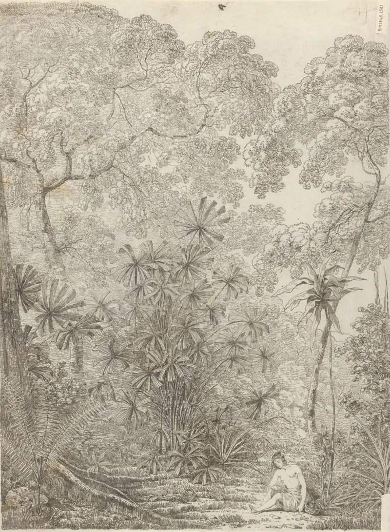 The Fan Palm of Cracatoa av John Webber
