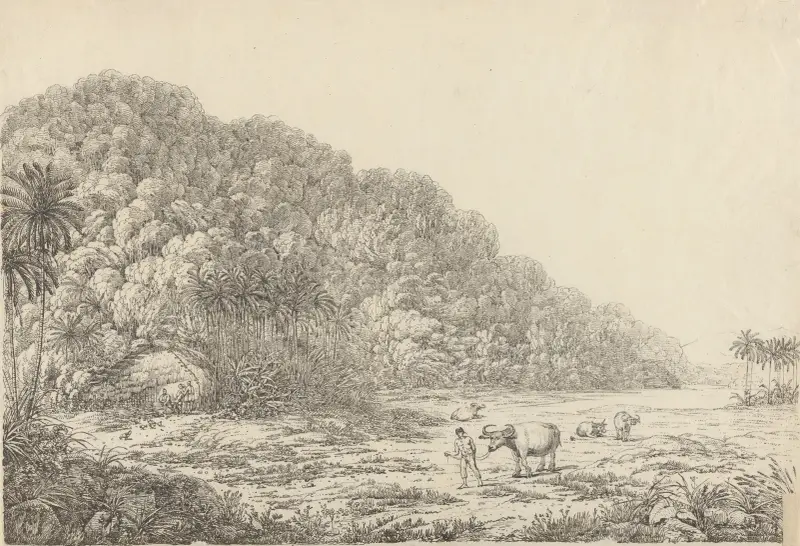View in the Island of Pulo Condore, 1792 – nr 1 av John Webber