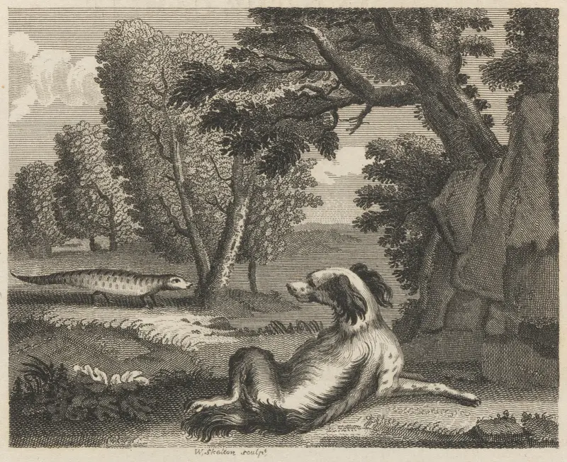 Fable II. The Spaniel and the Cameleon av John Wootton