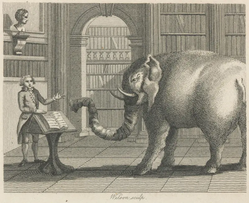 Fable X. The Elephant and the Bookseller av John Wootton