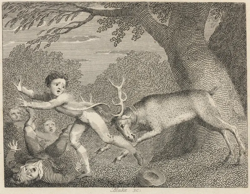 Fabel XIII. Den tama hjorten av John Wootton