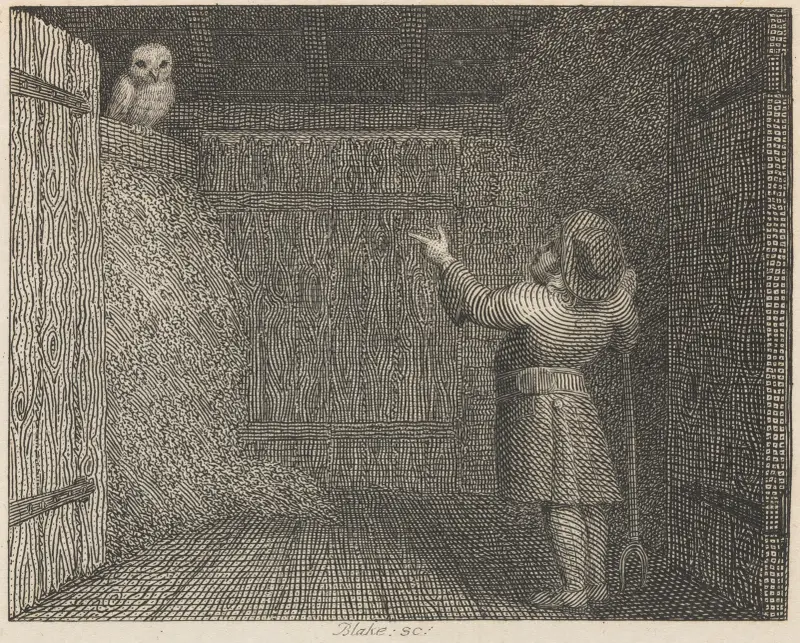 Fable XLI. The Owl and the Farmer av John Wootton