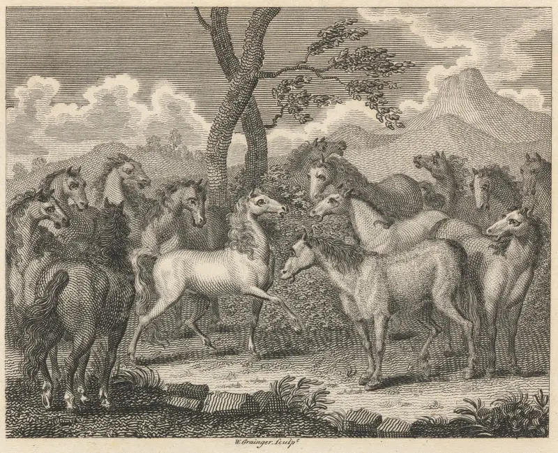 Fable XLIII. The Council of Horses av John Wootton