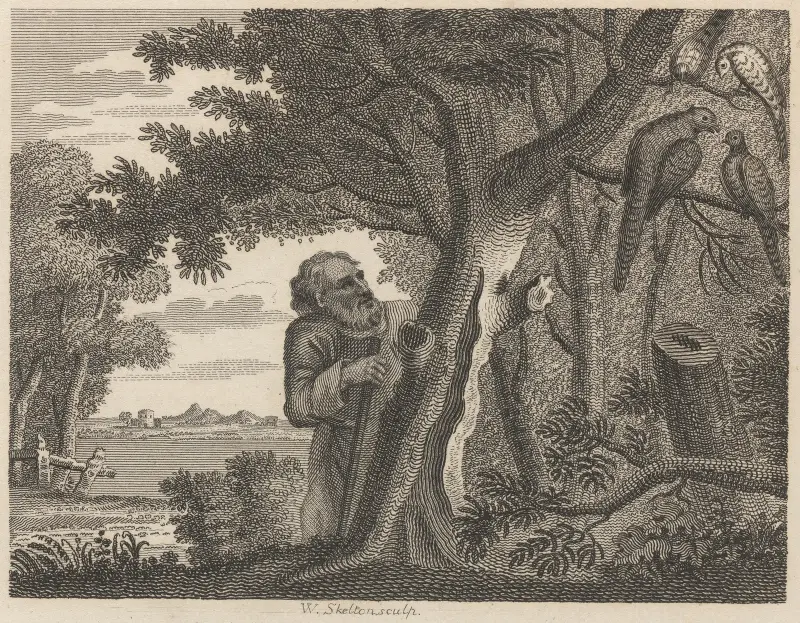 Fabel XV. Filosofen och fasanerna av John Wootton