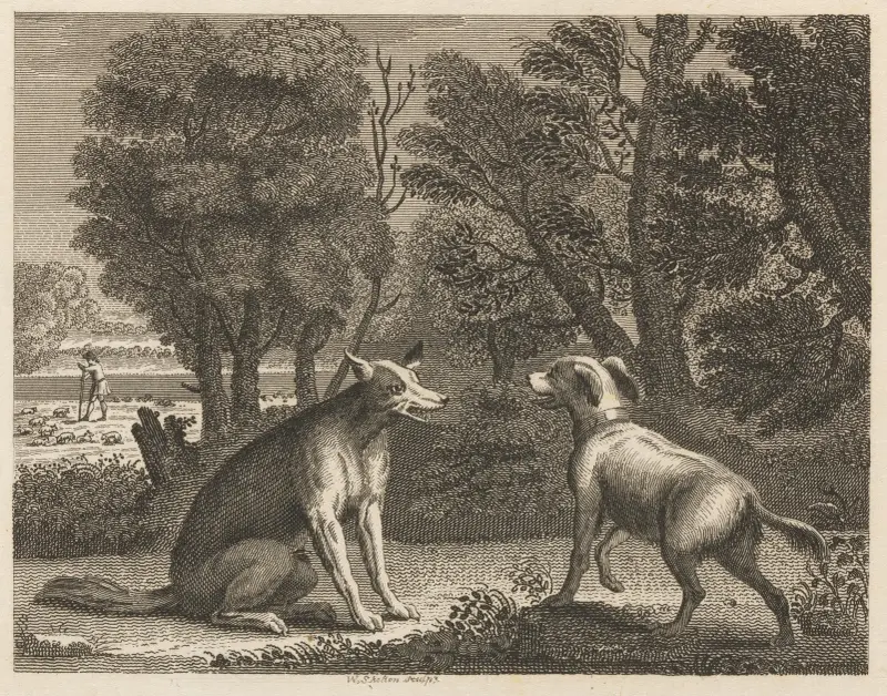 Fabel XVII. Herdinnans hund och vargen av John Wootton