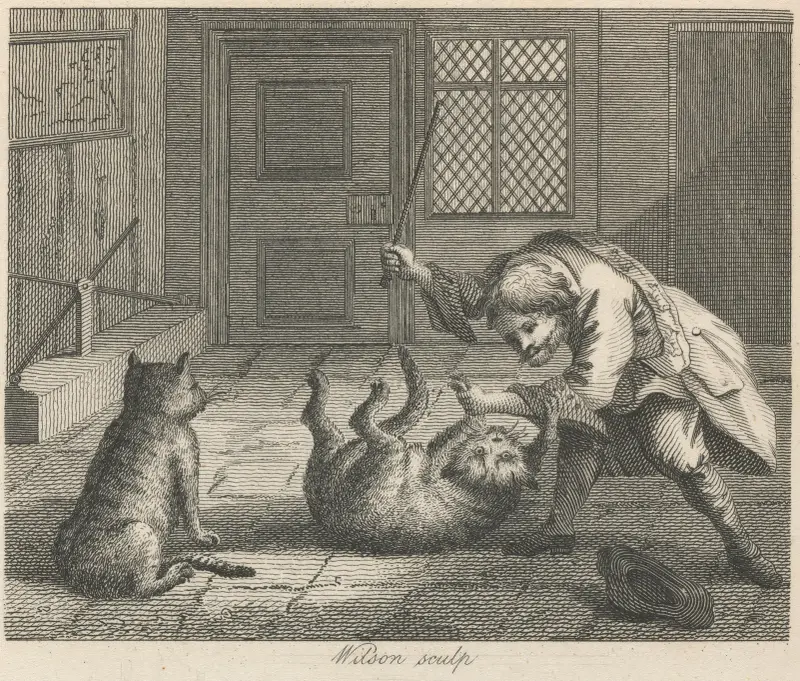 Fabel XXI. Der Rattenfänger und die Katzen von John Wootton