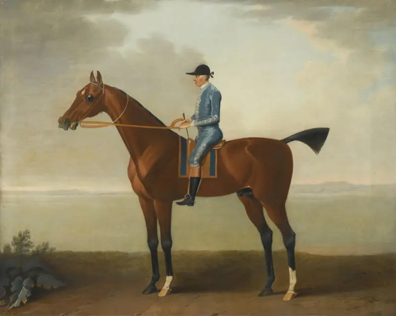 Lady O’Briens häst med jockey av John Wootton