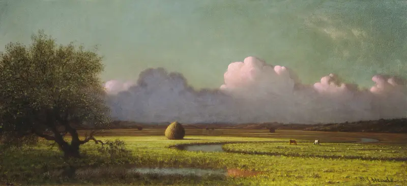 Sunlight and Shadow – The Newbury Marshes av Martin Johnson Heade