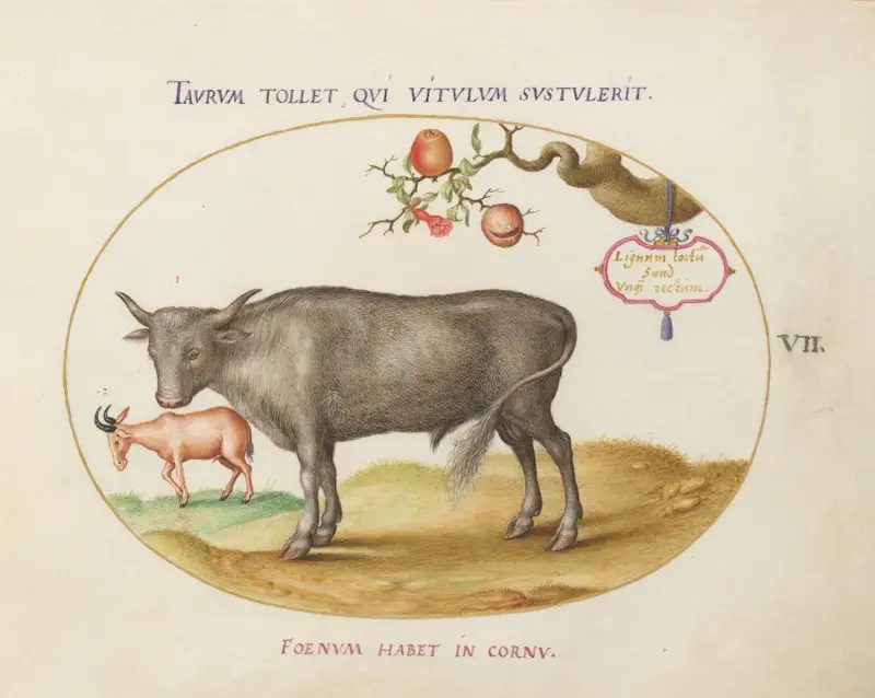 Ein Bulle und ein hornbewehrtes Tier von Joris Hoefnagel