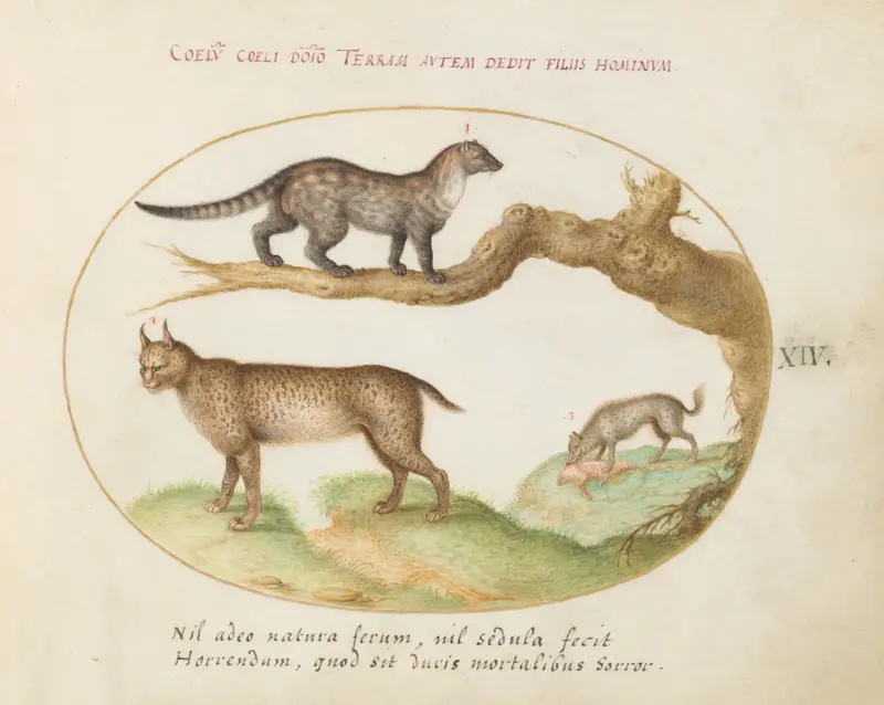 A Civet, a Lynx, and a Hyena Eating a Dog av Joris Hoefnagel