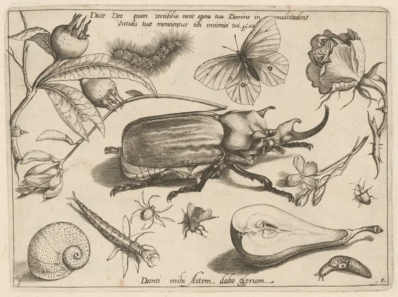 Archetypa studiaque patris Georgii Hoefnagelii Taf. 01 von Joris Hoefnagel