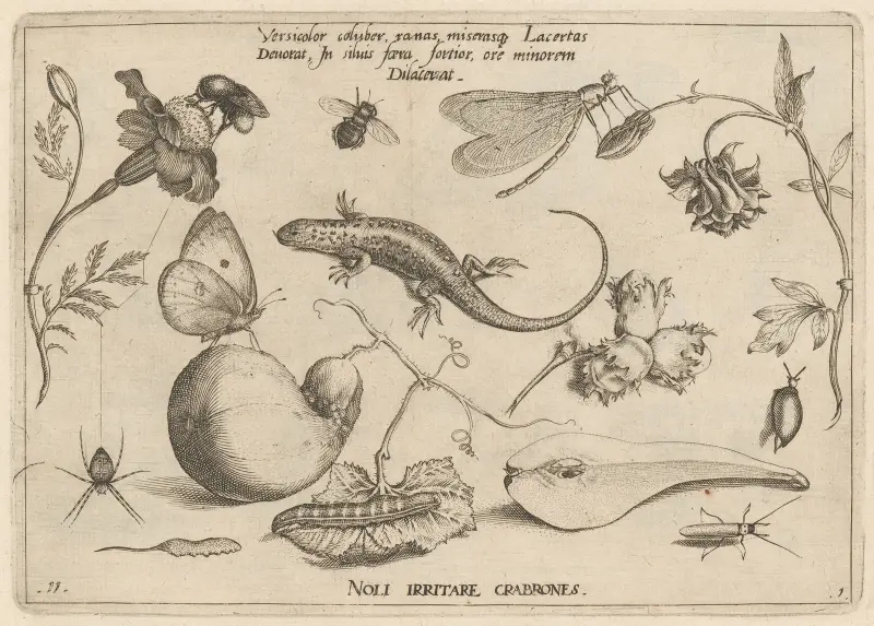 Archetypa studiaque patris Georgii Hoefnagelii Pl.03 av Joris Hoefnagel