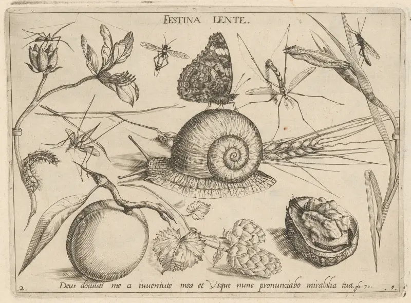 Archetypa studiaque patris Georgii Hoefnagelii Pl.05 av Joris Hoefnagel