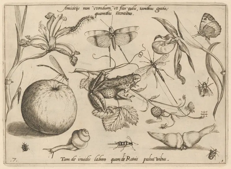 Archetypa studiaque patris Georgii Hoefnagelii Pl.09 av Joris Hoefnagel