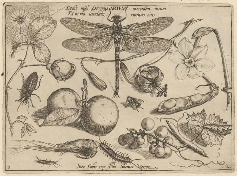 Archetypa studiaque patris Georgii Hoefnagelii Pl.18 av Joris Hoefnagel