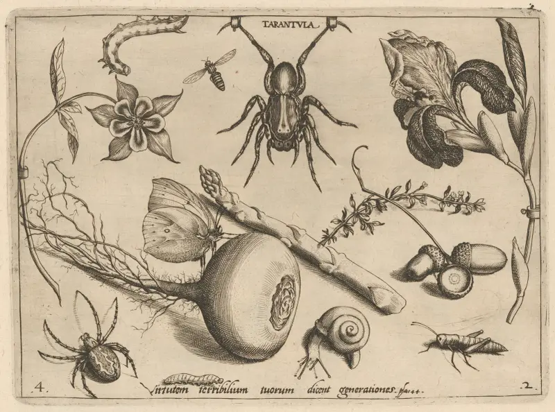 Archetypa studiaque patris Georgii Hoefnagelii Pl.19 av Joris Hoefnagel