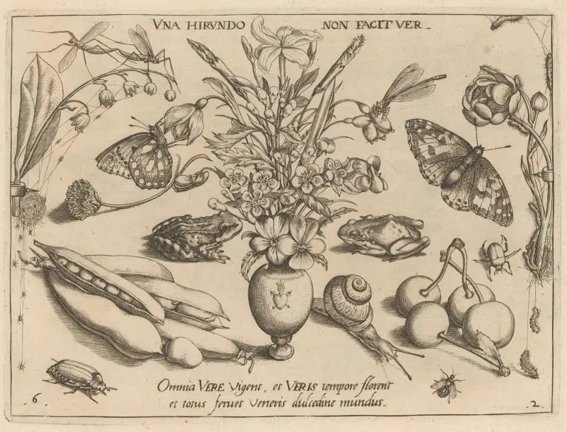 Archetypa studiaque patris Georgii Hoefnagelii Pl.21 av Joris Hoefnagel