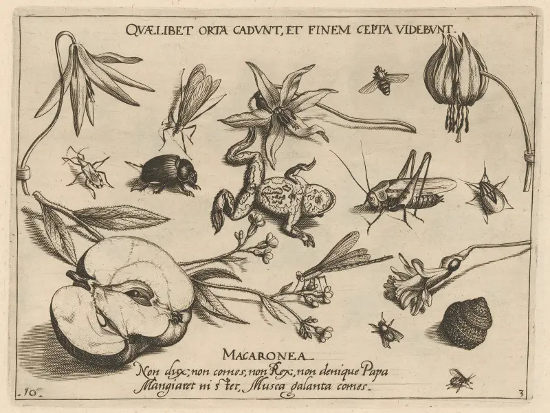 Archetypa studiaque patris Georgii Hoefnagelii Pl.27 av Joris Hoefnagel