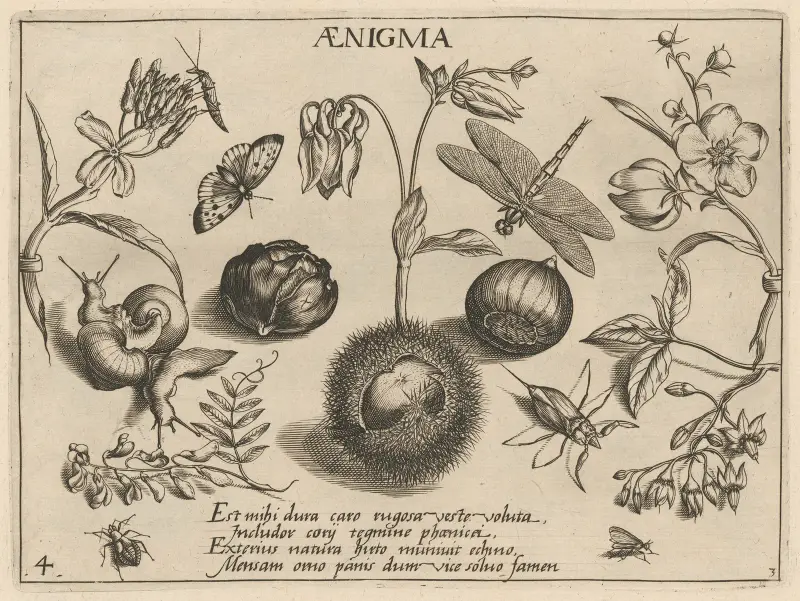 Archetypa studiaque patris Georgii Hoefnagelii Pl.32 av Joris Hoefnagel