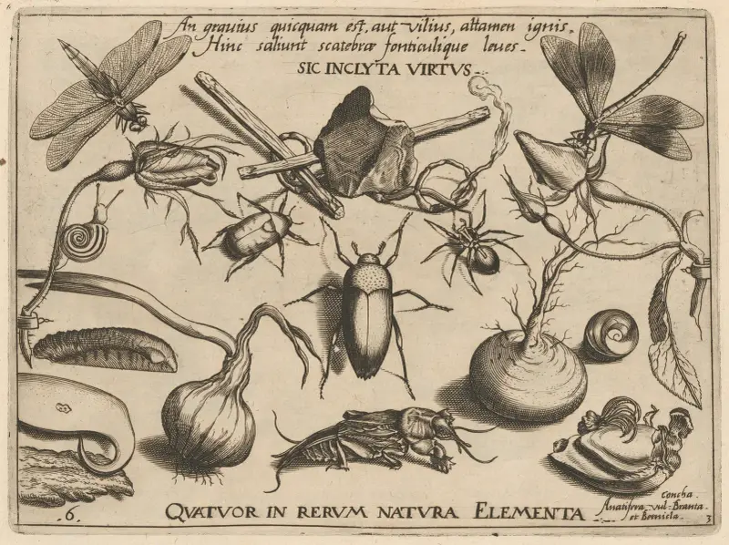 Archetypa studiaque patris Georgii Hoefnagelii Pl.34 av Joris Hoefnagel