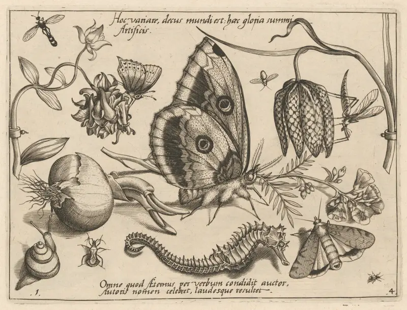 Archetypa studiaque patris Georgii Hoefnagelii Pl.39 av Joris Hoefnagel
