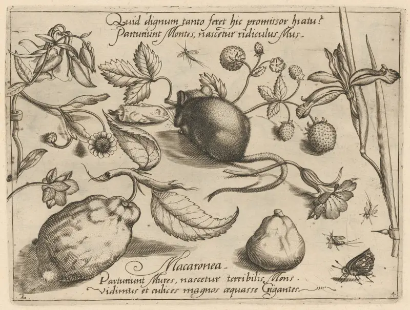 Archetypa studiaque patris Georgii Hoefnagelii Pl.43 av Joris Hoefnagel