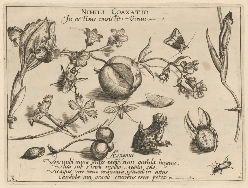 Archetypa studiaque patris Georgii Hoefnagelii Pl.44 av Joris Hoefnagel