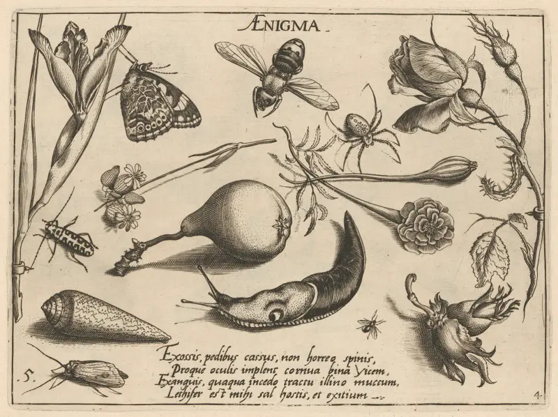 Archetypa studiaque patris Georgii Hoefnagelii Pl.46 av Joris Hoefnagel