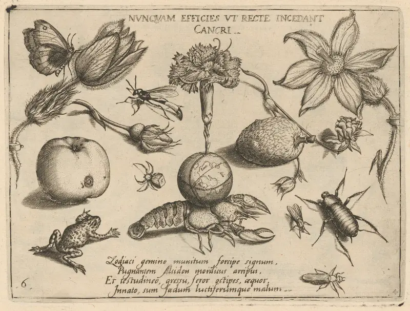 Archetypa studiaque patris Georgii Hoefnagelii, pl. 47 av Joris Hoefnagel