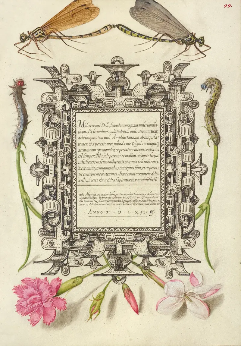 Damselflies, Caterpillars, Carnation, and Poet’s Jasmine av Joris Hoefnagel